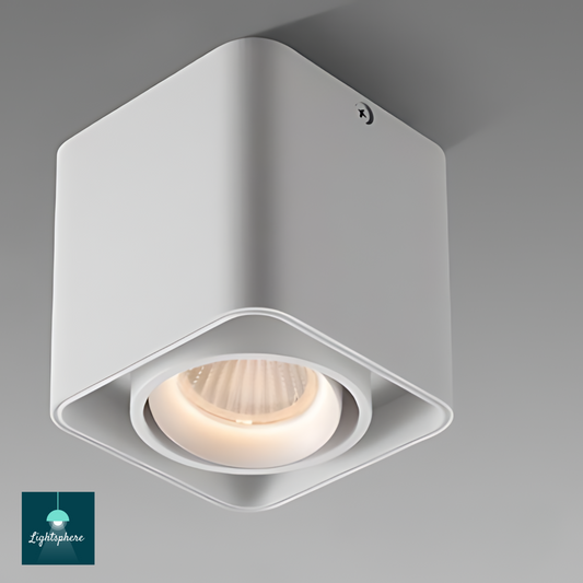 Adjustable LED Ceiling Light fixture