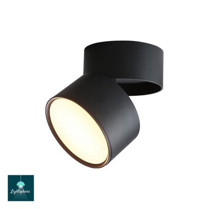 Adjustable LED downlight