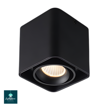 Bright LED Ceiling Light accent