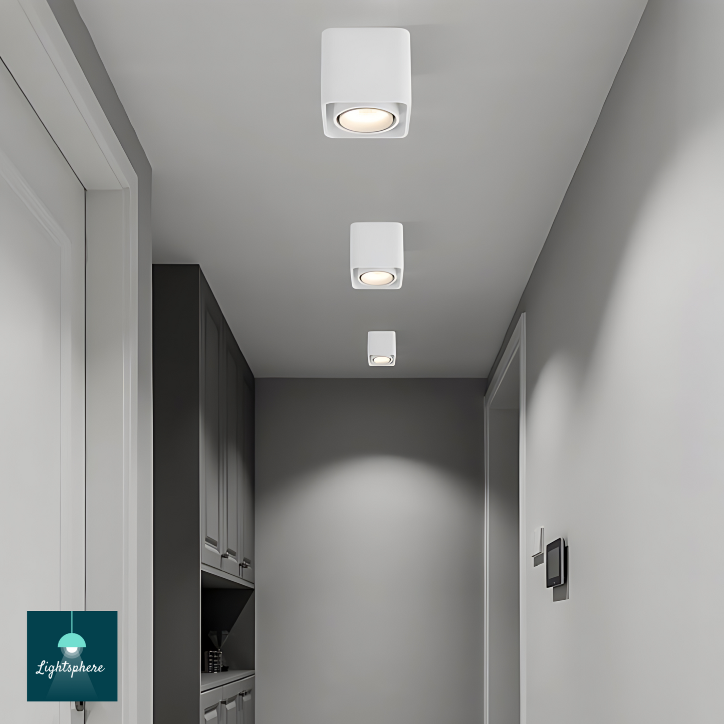 Sleek adjustable LED Ceiling Light