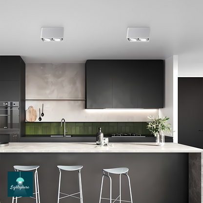 Adjustable LED Ceiling Light fixture for modern interiors