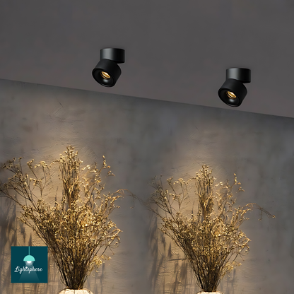 Ceiling-mounted ceiling spotlights for targeted lighting